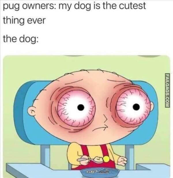 Random Funny Memes 7 3