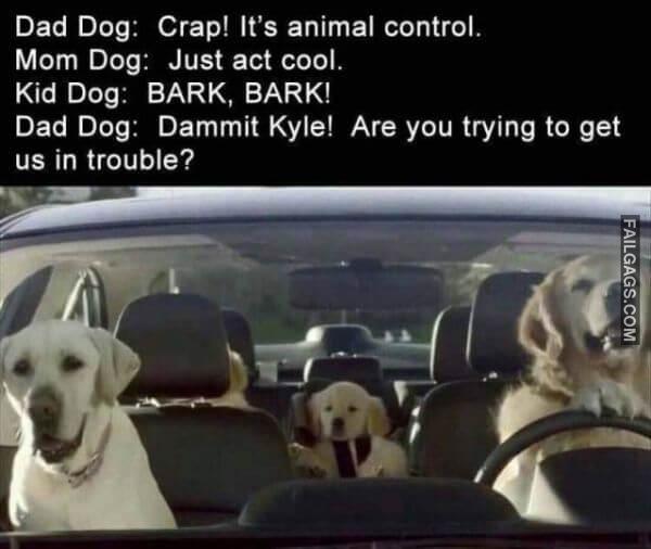 Random Funny Memes 7 7