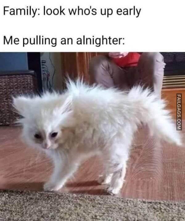 Random Funny Memes 8 10