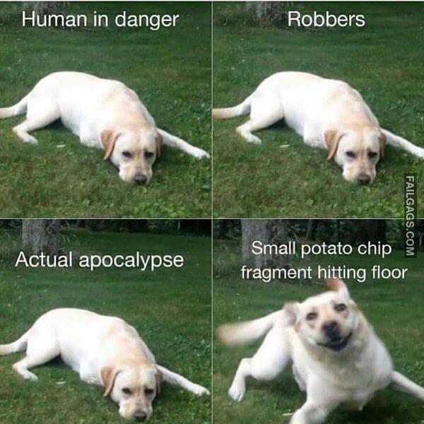 Random Funny Memes 8 12