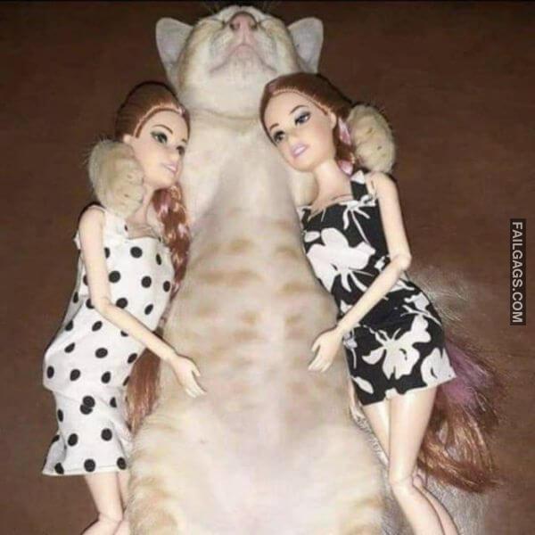 Random Funny Memes 9 9