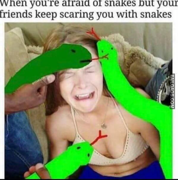 When Youre Afraid of Snakes but Your Friends Keep Scaring You With Snakes Funny NSFW Memes