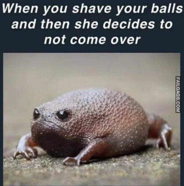 Funny Adult Memes 7 1