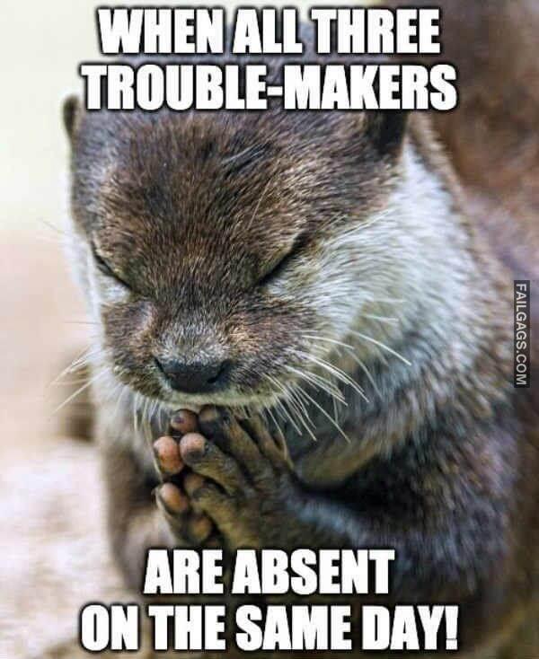 Funny Teachers Memes 10