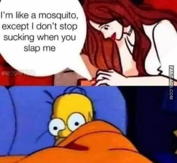 Im Like a Mosquito Except I Dont Stop Sucking When You Slap Me Funny Sex Memes