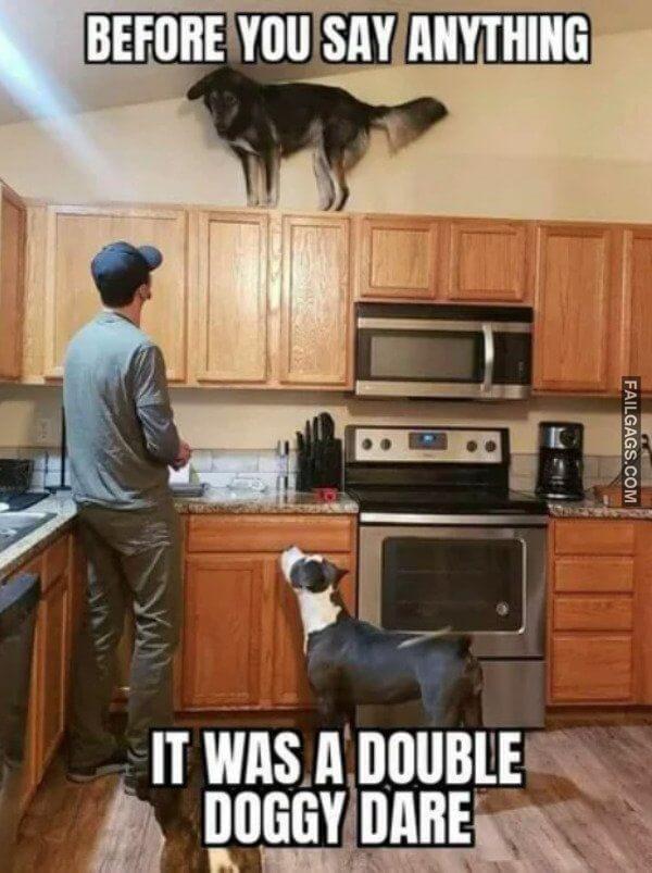 Random Funny Memes 10