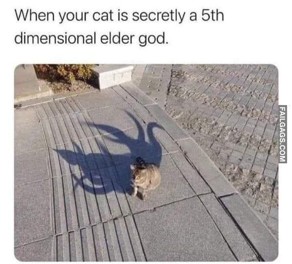 Random Funny Memes 13 3