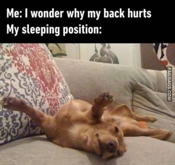 Random Funny Memes 3 2