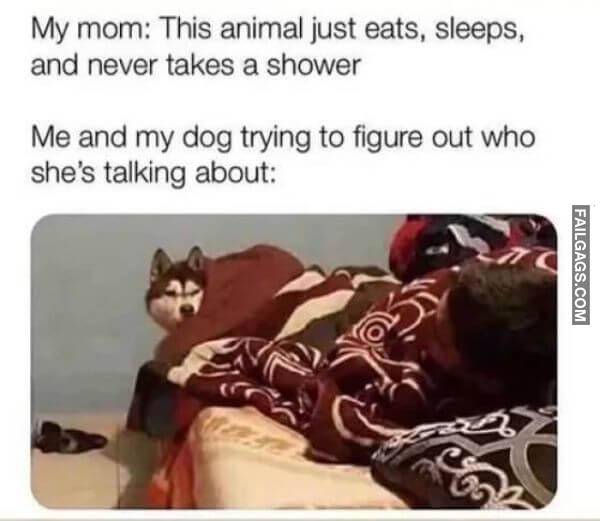 Random Funny Memes 3 6