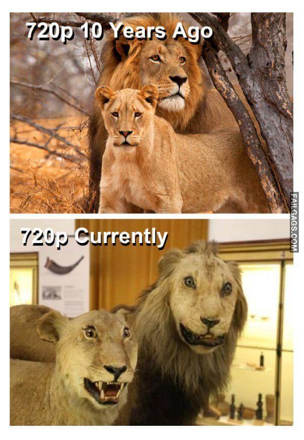 Random Funny Memes 4 1