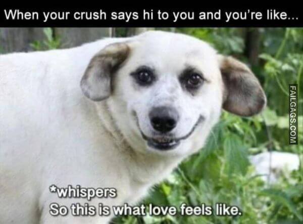 Random Funny Memes 4