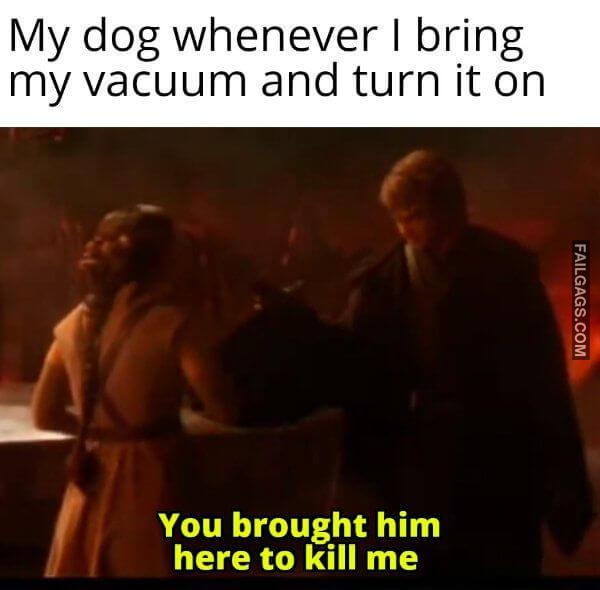 Random Funny Memes 5 1