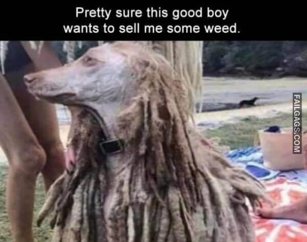 Random Funny Memes 6