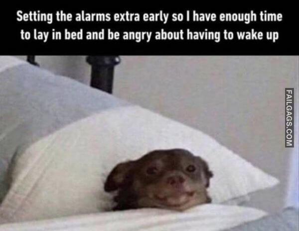 Random Funny Memes 7 2