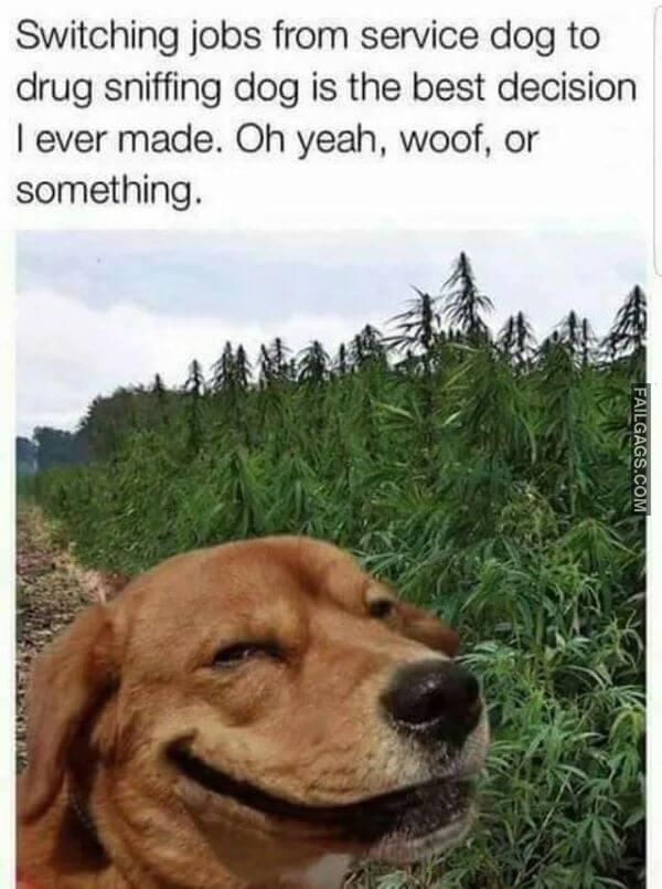 Random Funny Memes 9 6