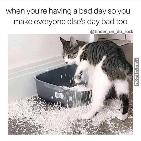 Bad Days Happen 5