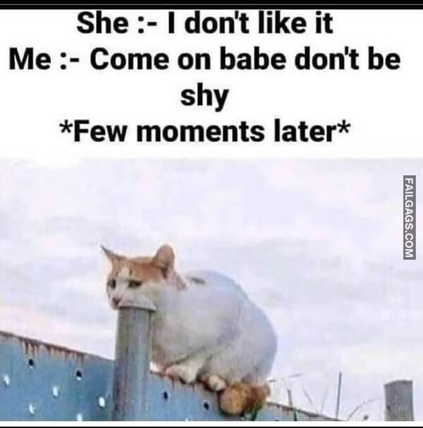 Funny Desi Sex Memes 9