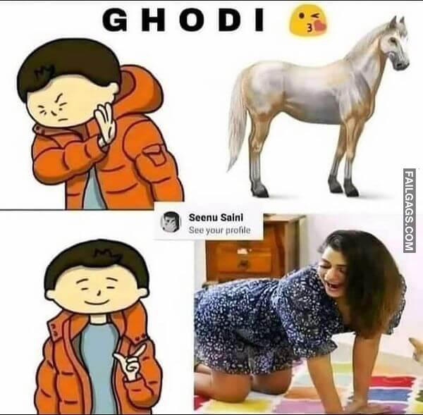 Funny Indian Adult Memes 11