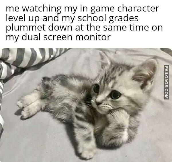 Funny Memes for Gamers 1