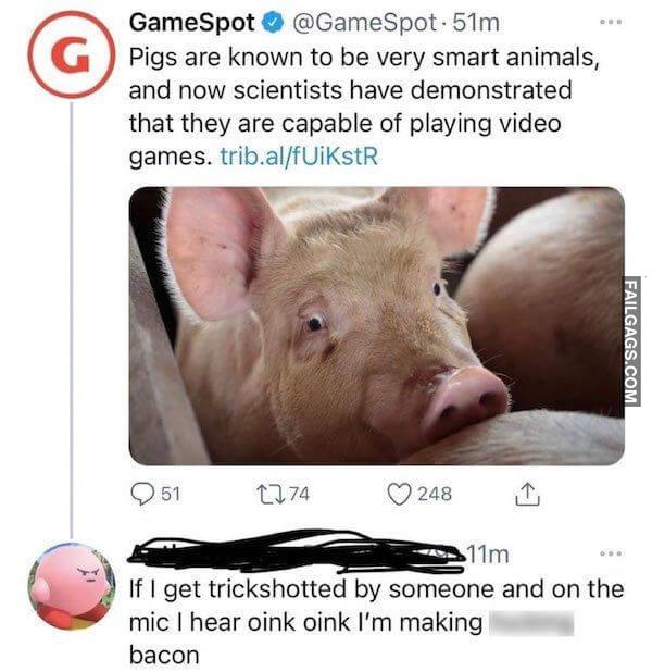 Funny Memes for Gamers 12