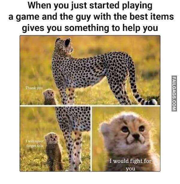 Funny Memes for Gamers 14