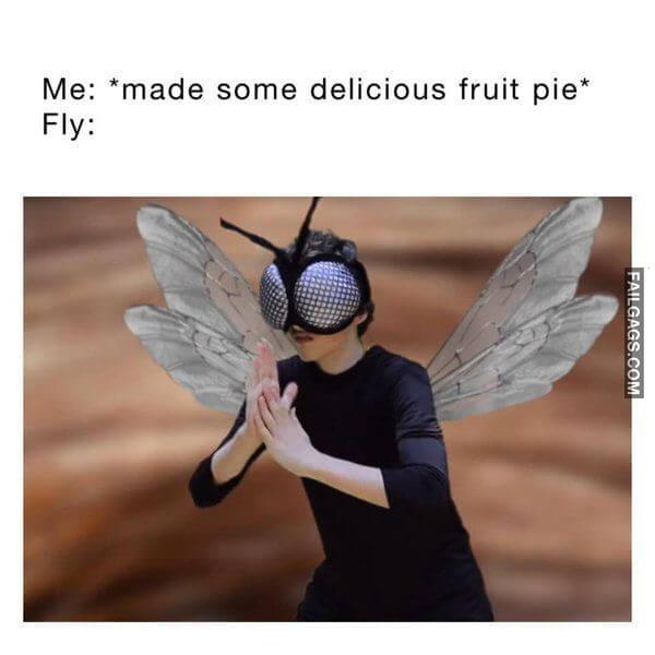 Funny Summertime Memes 10