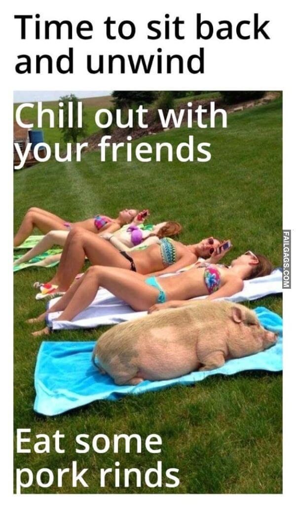 Funny Summertime Memes 8