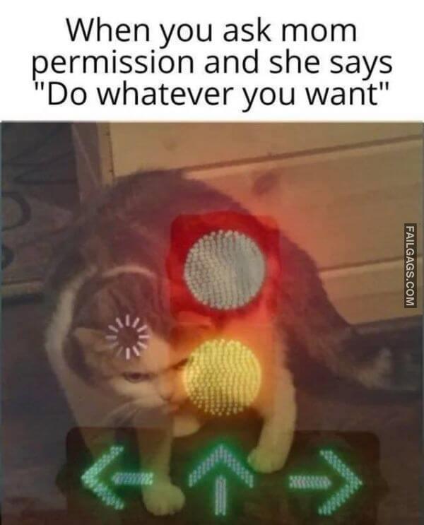 Random Funny Memes 11 11