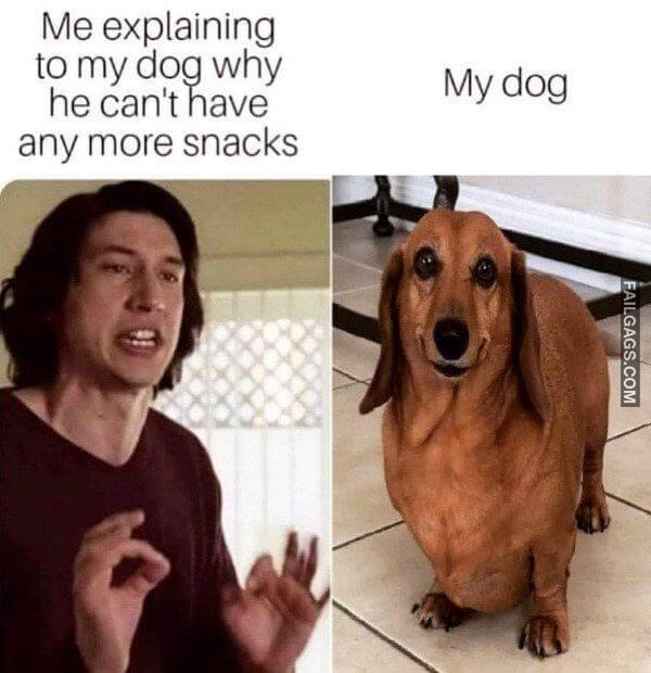 Random Funny Memes 11 5