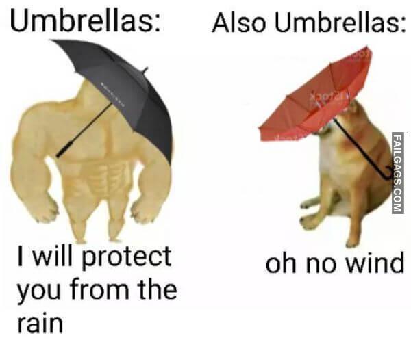 Random Funny Memes 14 4