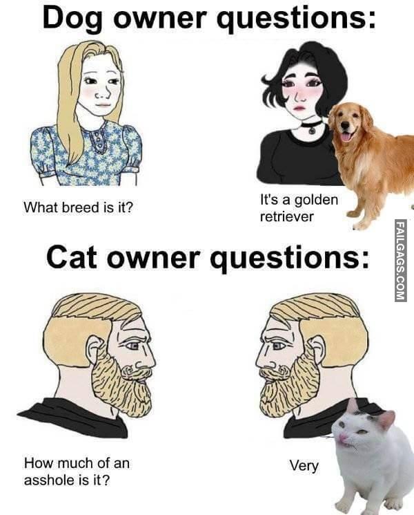 Random Funny Memes 14