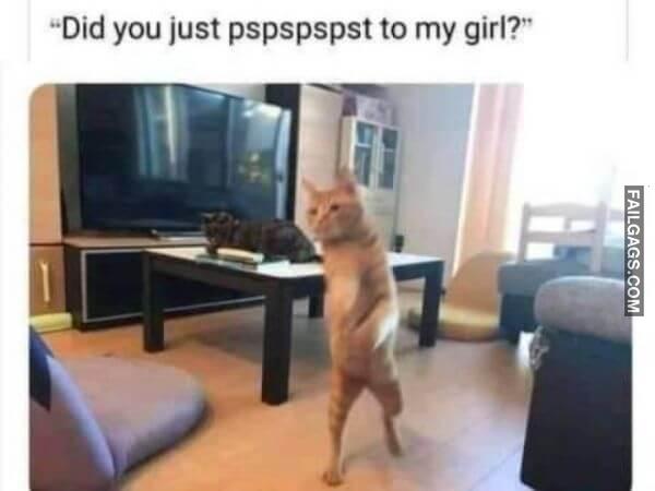 Random Funny Memes 15