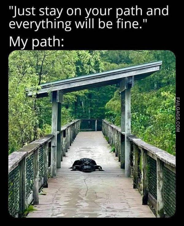 Random Funny Memes 2 11