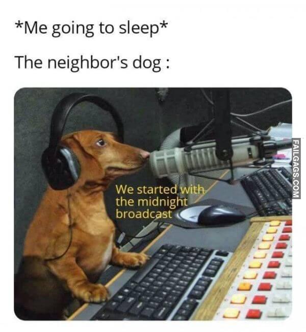 Random Funny Memes 2 13