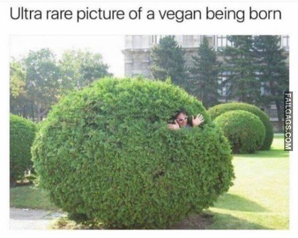 Random Funny Memes 2