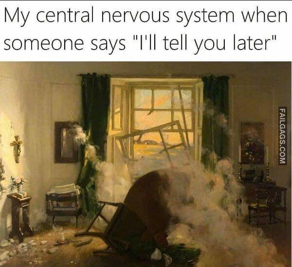 Random Funny Memes 3 6