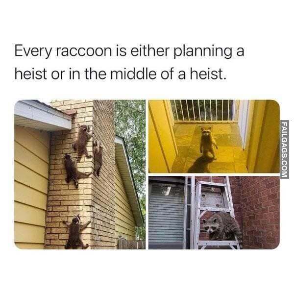 Random Funny Memes 3