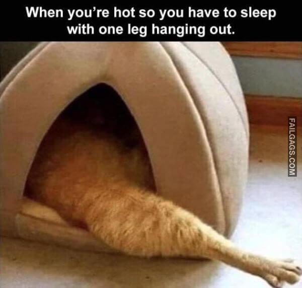 Random Funny Memes 4 7