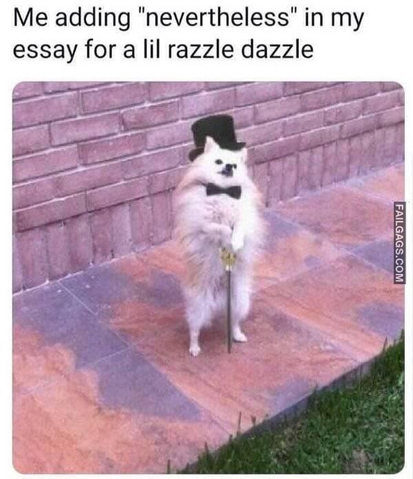 Random Funny Memes 4