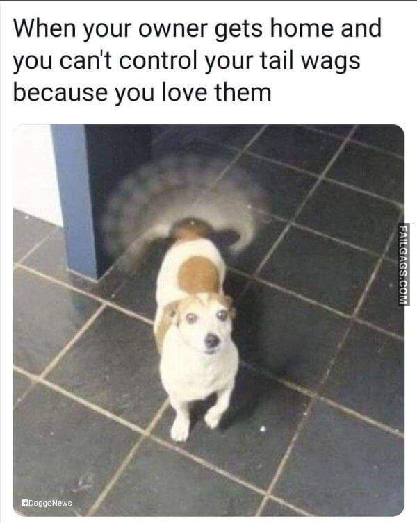 Random Funny Memes 5 1