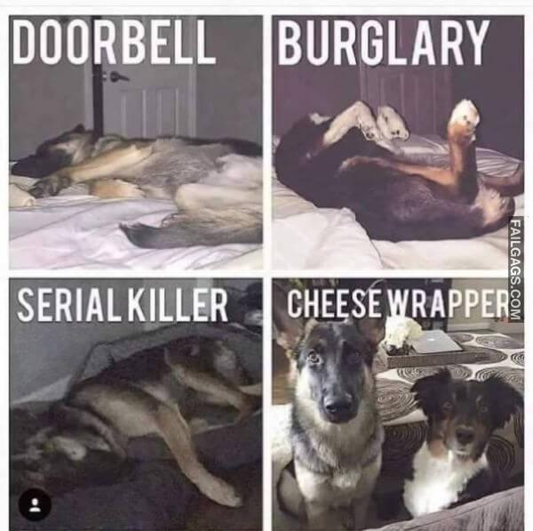 Random Funny Memes 7 1