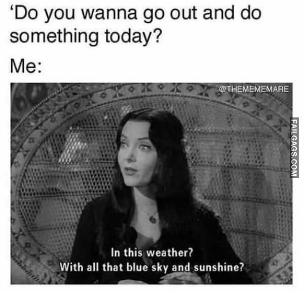 Random Funny Memes 7 13