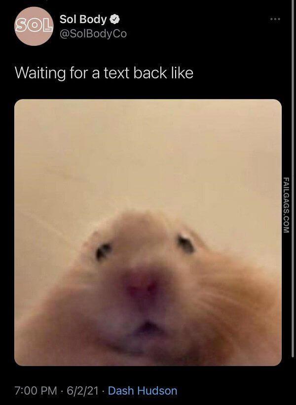 Random Funny Memes 7 6