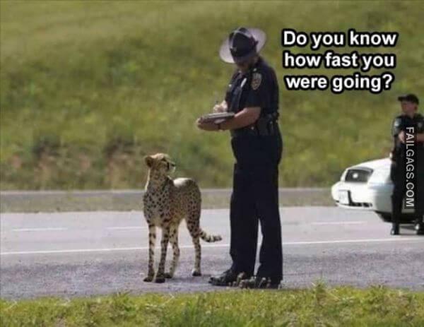 Random Funny Memes 9 13