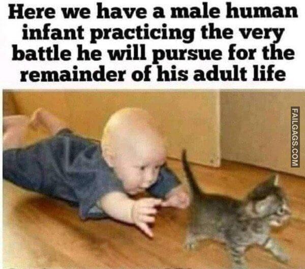 Random Funny Memes 9 5