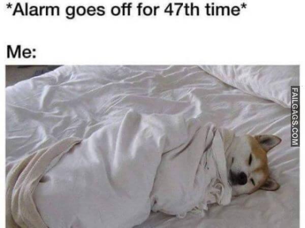 Random Funny Memes 9