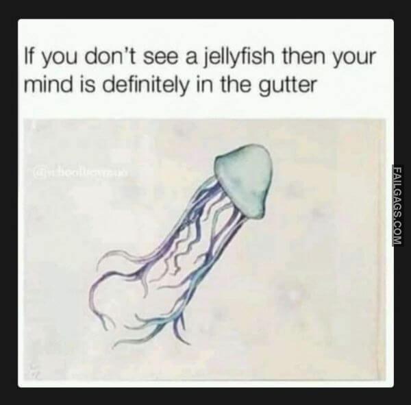 If You Dont See a Jellyfish Then Your Mind Is Definitely in the Gutter Dirty Memes