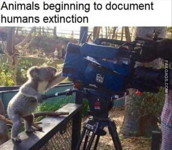 Random Funny Memes 10 12