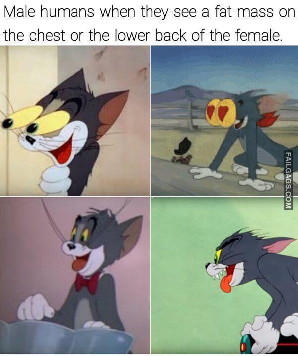 Random Funny Memes 10 2