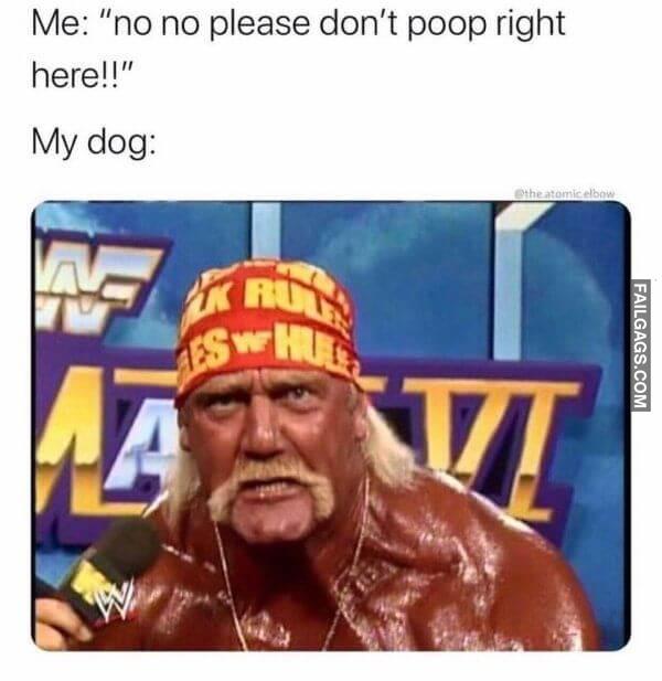 Random Funny Memes 10 8